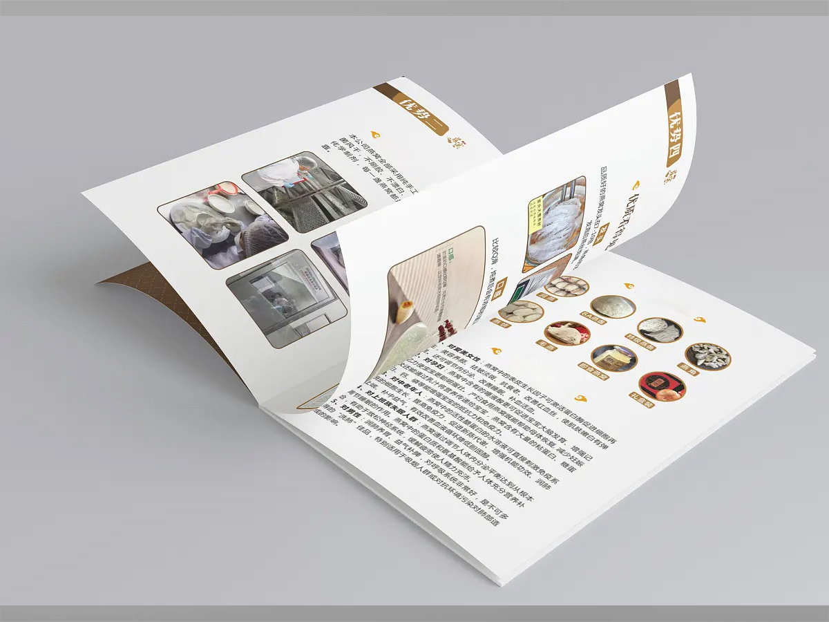 广州番禺公司宣传画册设计印刷厂家