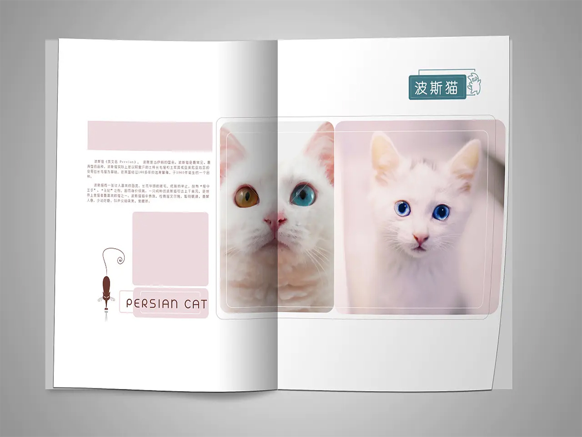 广州番禺专色彩印宠物画册厂家   四色加专色对开印刷厂